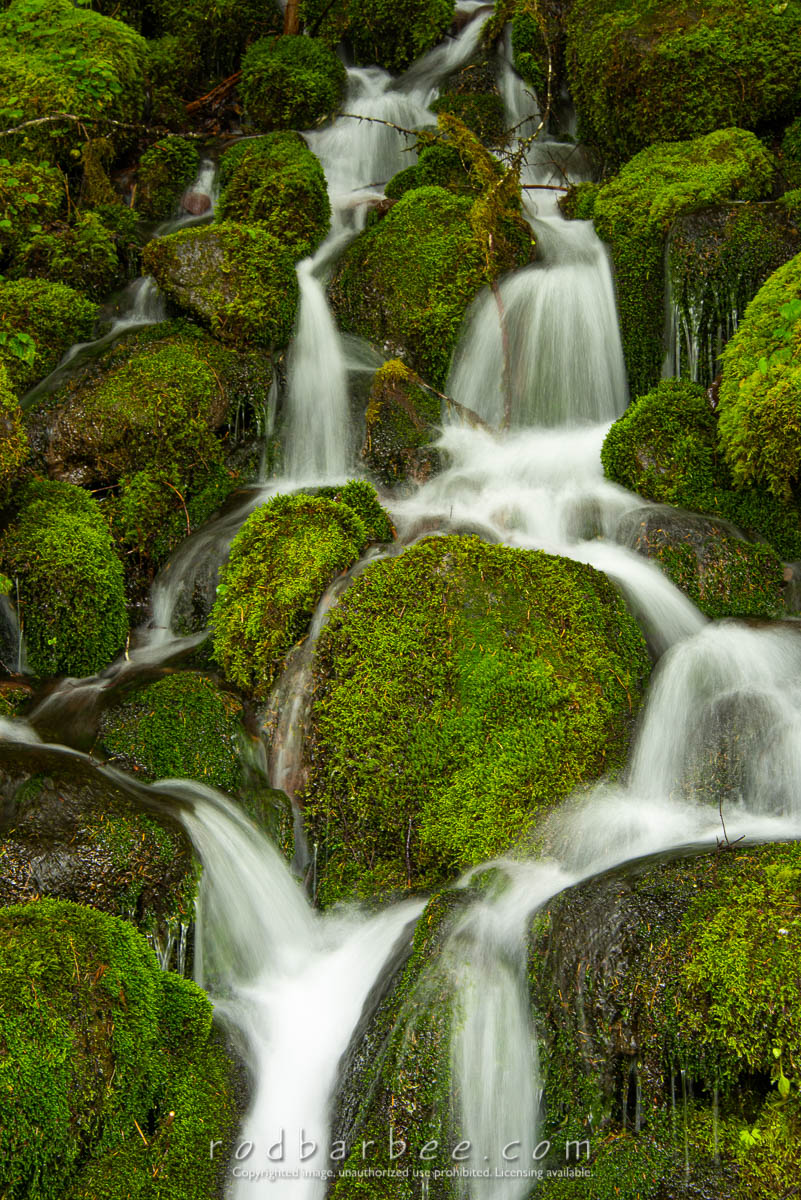 Small stream next to Bunch Creek