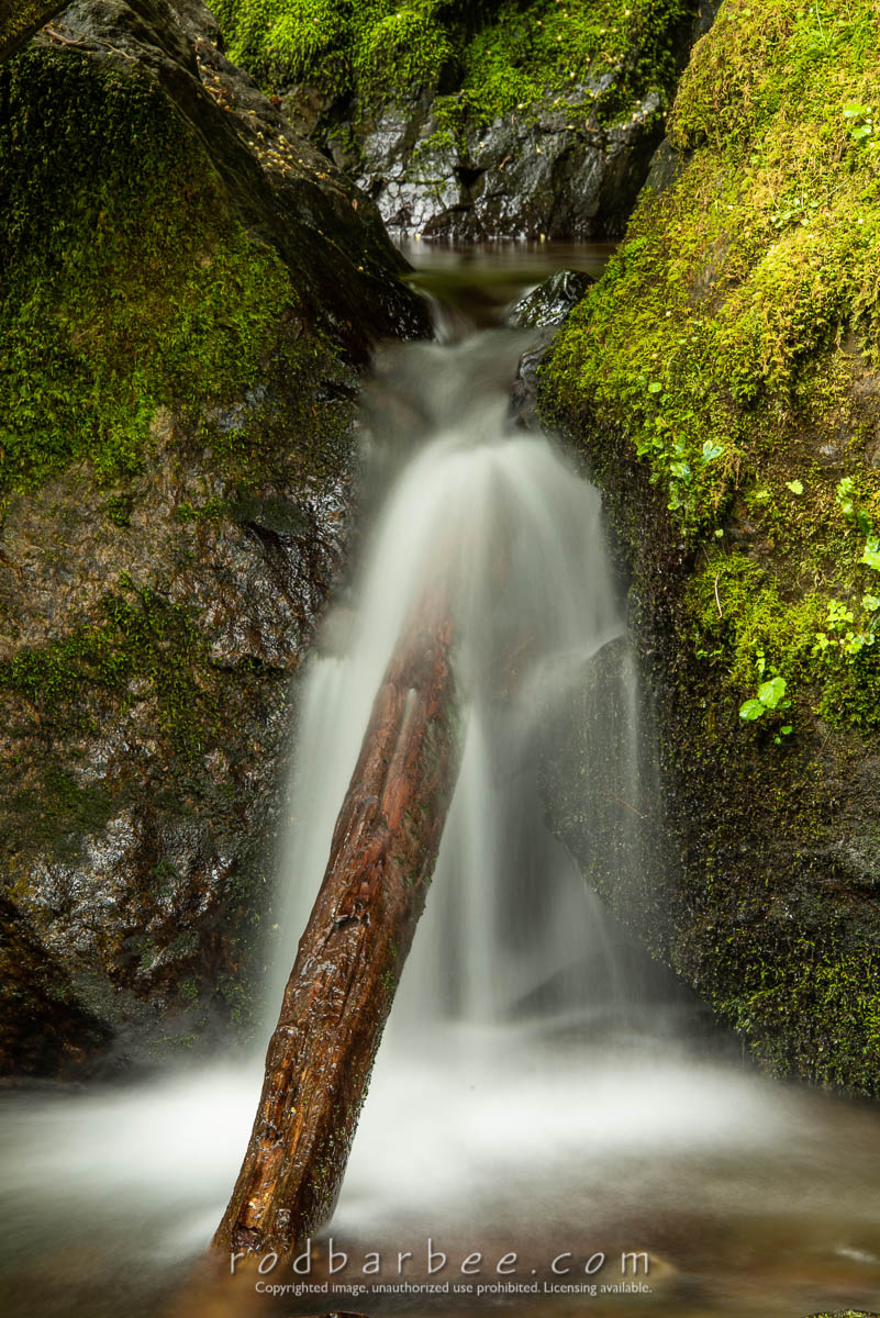 Merriman Falls, Olympic National Forest, WA