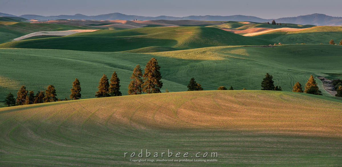 Sunset near Colfax, WA