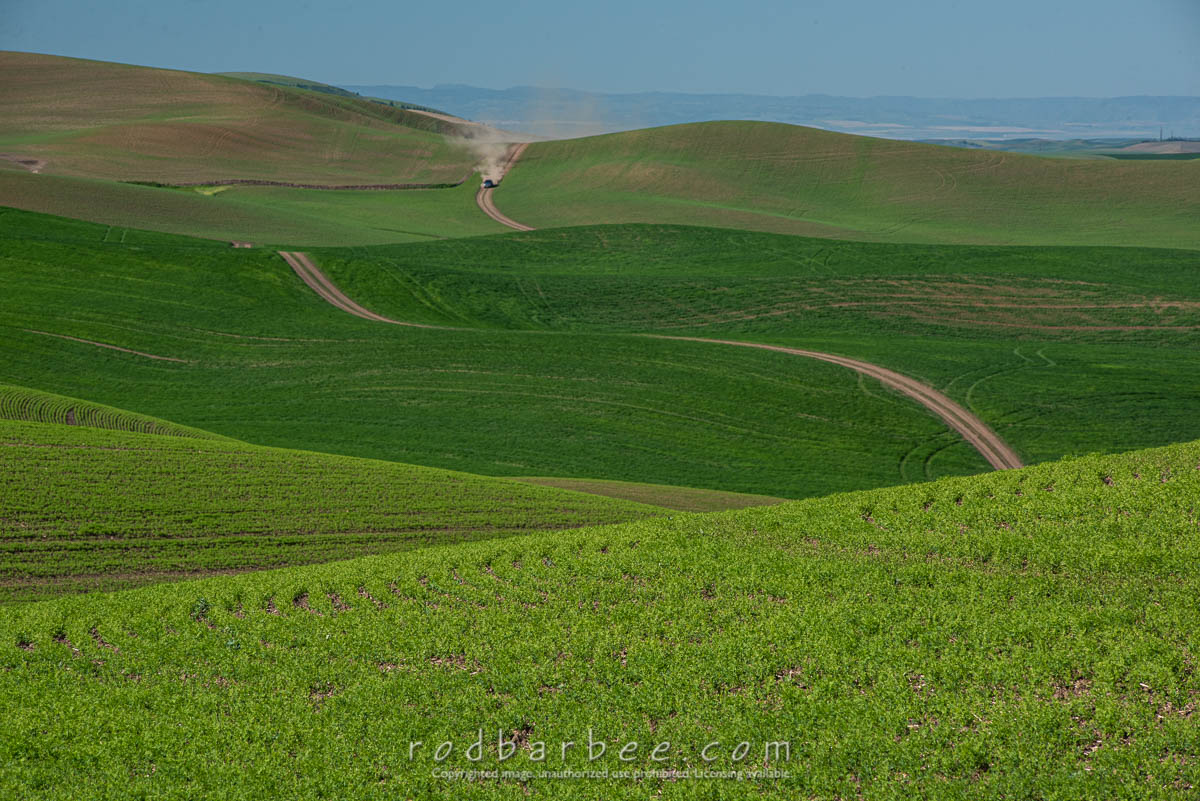 Winding road in the Palouse.