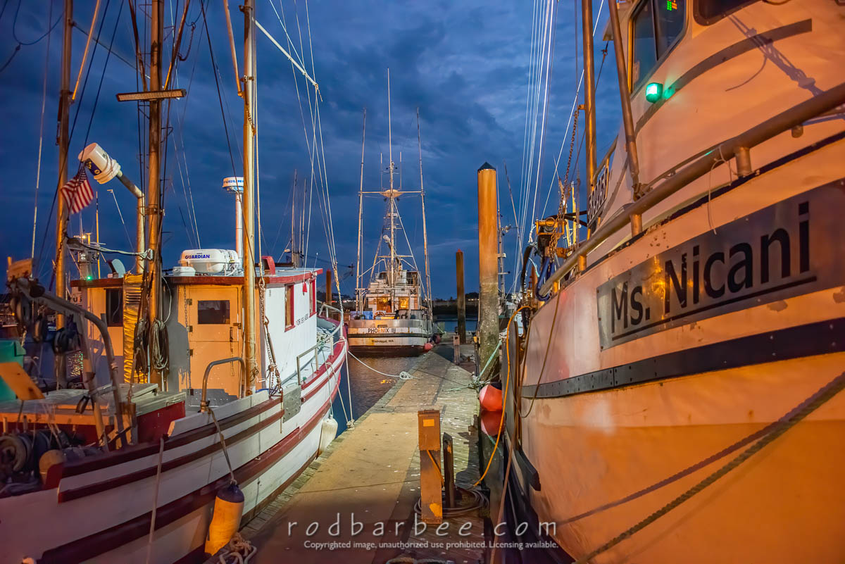 Yaquina Bay Harbor in the evening