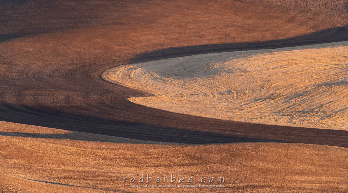 A view from Steptoe Butte