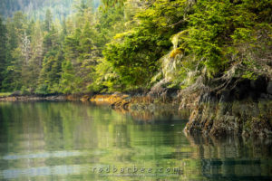 "Bonzai Pass" in Sitka Sound.