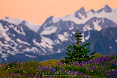 Olympic peaks