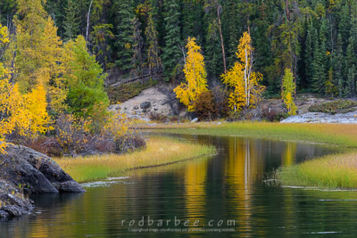 Cameron River