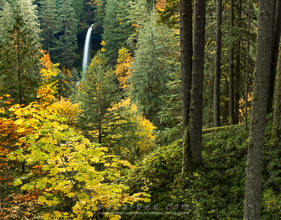 North Falls