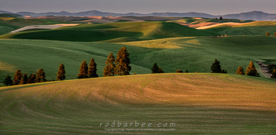 The Palouse